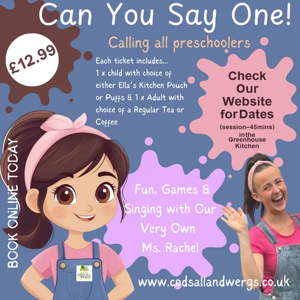 Ms Rachel's Fun Time