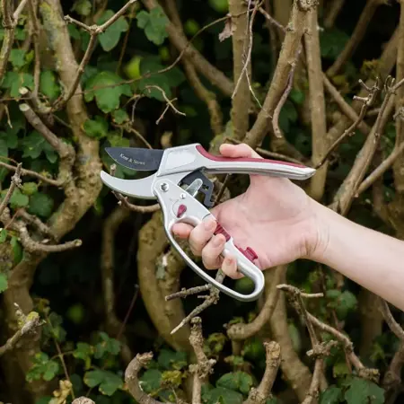 Kent & Stowe 2 in 1 Ratchet Secateurs - image 2