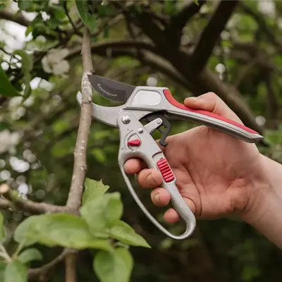 Kent & Stowe 2 in 1 Ratchet Secateurs - image 3