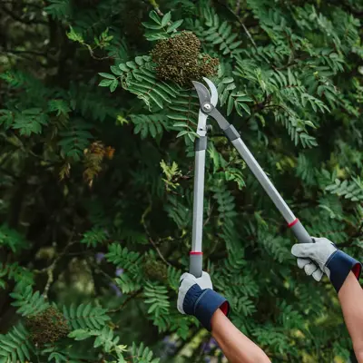 Kent & Stowe Fixed Handle Bypass Lopper - image 3